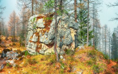 Leikki yhdistää; Pelillisyys työyhteisön tiimityön kehittäjänä